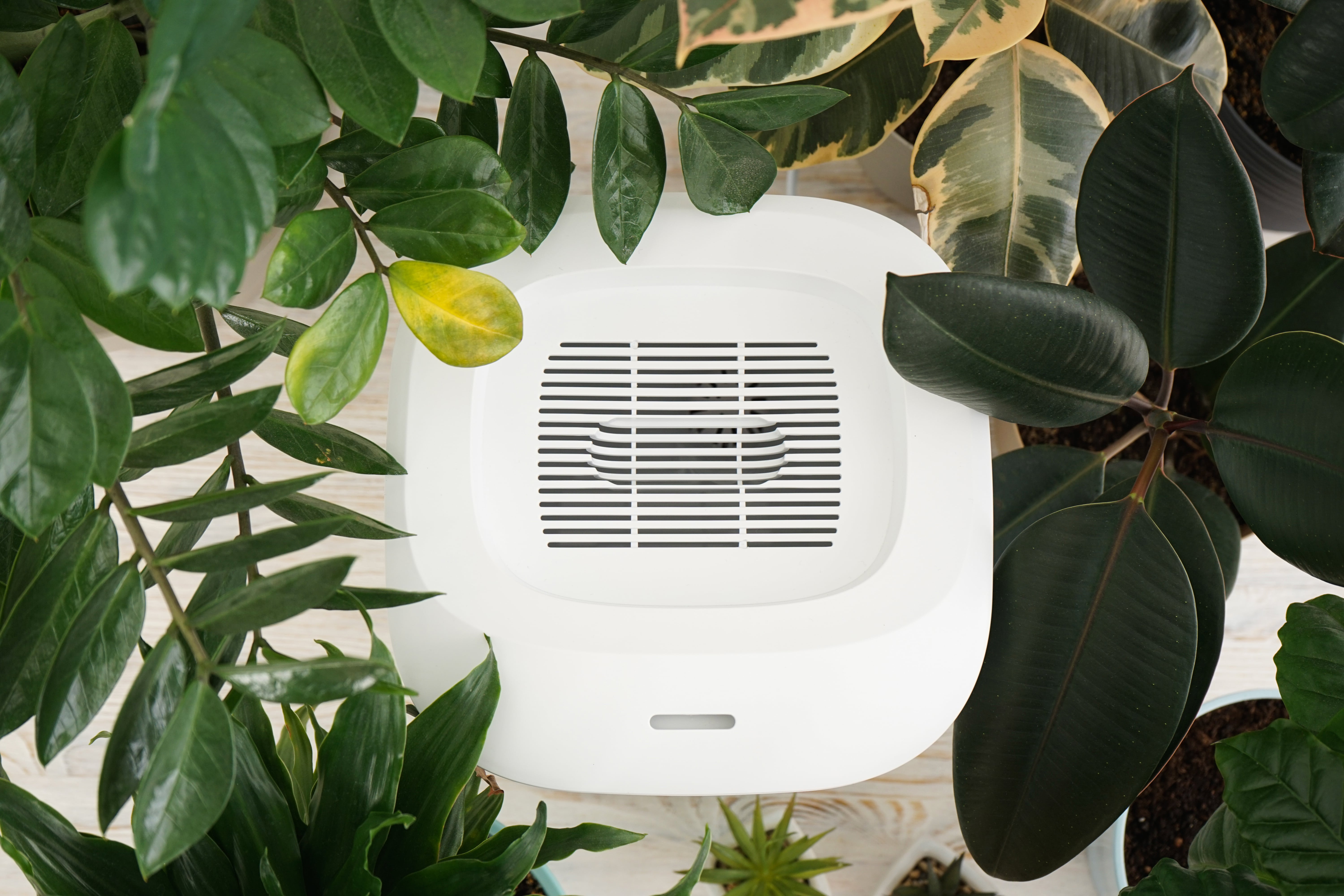 Dabīgā ventilācija mājai